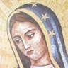 Cathedral Of Our Lady Of Guadalupe