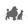 Doggie Do'little Pet Salon, Spa & Boutique