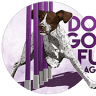 Dog Gone Fun Agility, LLC
