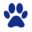 Dog Hydrotherapy Hereford