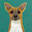 Dog Lover Art