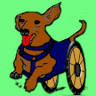 Dogstogo!