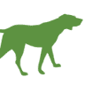 DogDomijn, Dogwatch, Plexidor en Dogtra
