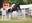 Equestrian Center Domain De La Forge