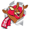 Domo Gas
