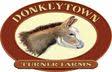 Donkeytown at Turner Farms