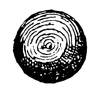 donut savant
