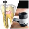 Derma Dental Expert Stomatologie Implantologie dentară Ortodontie Endodontie Dr. Bocănescu Andrei