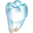 Dentist - Dr. Grégory LEROY