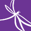 Dragonfly Yoga