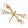 Dragonfly Pilates