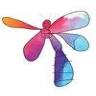 Dragonfly Play & Learn Pty Ltd