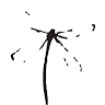 Dragonfly Yoga and Wellness