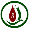 Dr. Béres József Primary School
