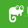 Dr. Bo pet store