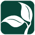 Amy Brooks, DDS, MD, PLLC