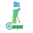 Dr. Carpet