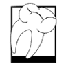 Daniel A. Bornstein, DMD
