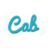 Transport i przewóz osób, Transfery VIP - DreamCab