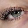 Dream Lash & Ink
