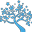 Water Tree Brackettville