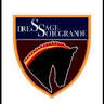 SCHOOL OF DRESSAGE SOTOGRANDE