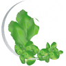 Drop-Tine Wildlife Consulting