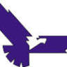 drs eagle