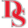 D S Auto Experts