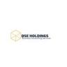 DSE Holdings LLC