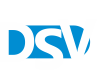 DSV Partners
