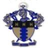 Delta Theta Sigma - Alpha Chapter