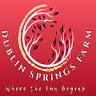 Dublin Springs Farm