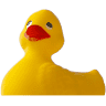 duckin
