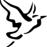 Dueslaget