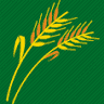 DULCIVAPA
