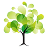 Dunham Insurance