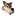 Basecamp - Net