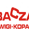 BACZA Wynajem dźwigów, podnośników