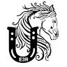 Equine Rescue Rehabilitation Resort