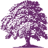 The Elizabeth Ann Clune Montessori School of Ithaca