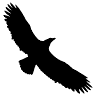 Eagles Eye View Cottages