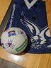 Edithvale Aspendale Netball Club