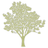 Earth Garden