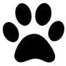 East Rome Animal Clinic