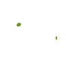 Lime - An American Cantina