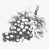 Meritage