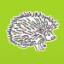 Echidna Springs Horticulture