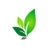 ECO Salon Day Spa