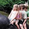 Ecotravelkids - Malaysia Pahang Eco Tour